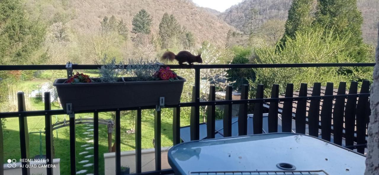 Revin  Les Ecureuils B&B 외부 사진