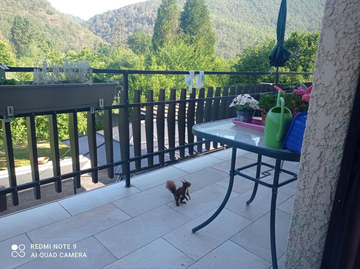 Revin  Les Ecureuils B&B 외부 사진