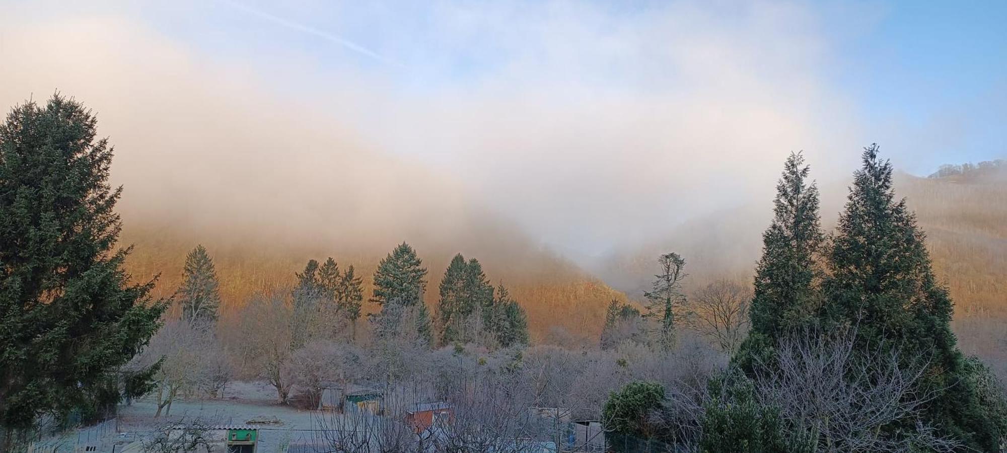 Revin  Les Ecureuils B&B 외부 사진